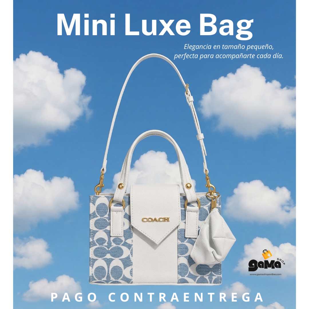 Mini Luxe Bag